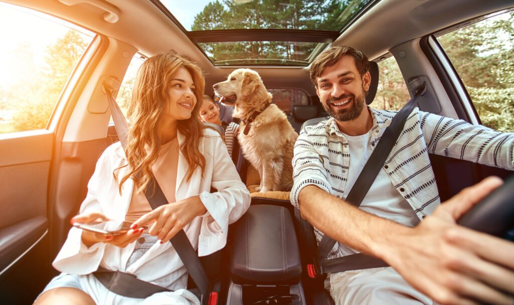 Mom and Dad with their daughter and a Labrador dog are sitting in the car